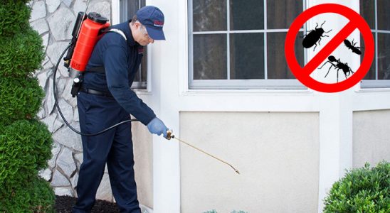 Kayseri Dezenfeksiyon böcek ilaçlama ve haşere kontrolü — ilaclama-tr.com